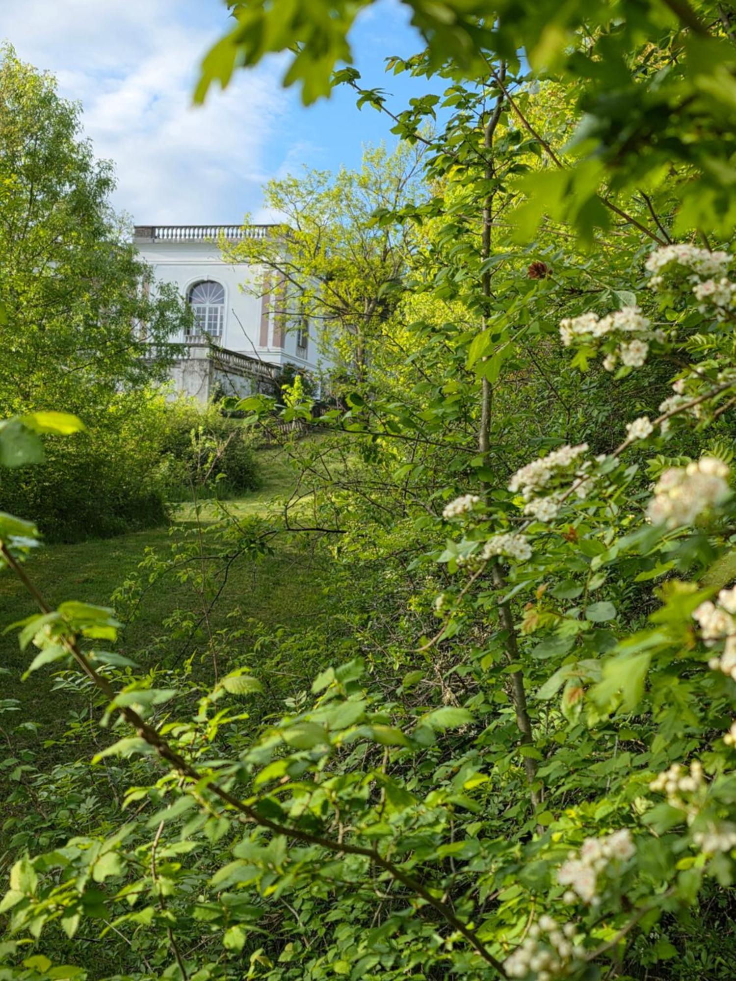 Chateau De Pourpry Damiatte Exteriér fotografie