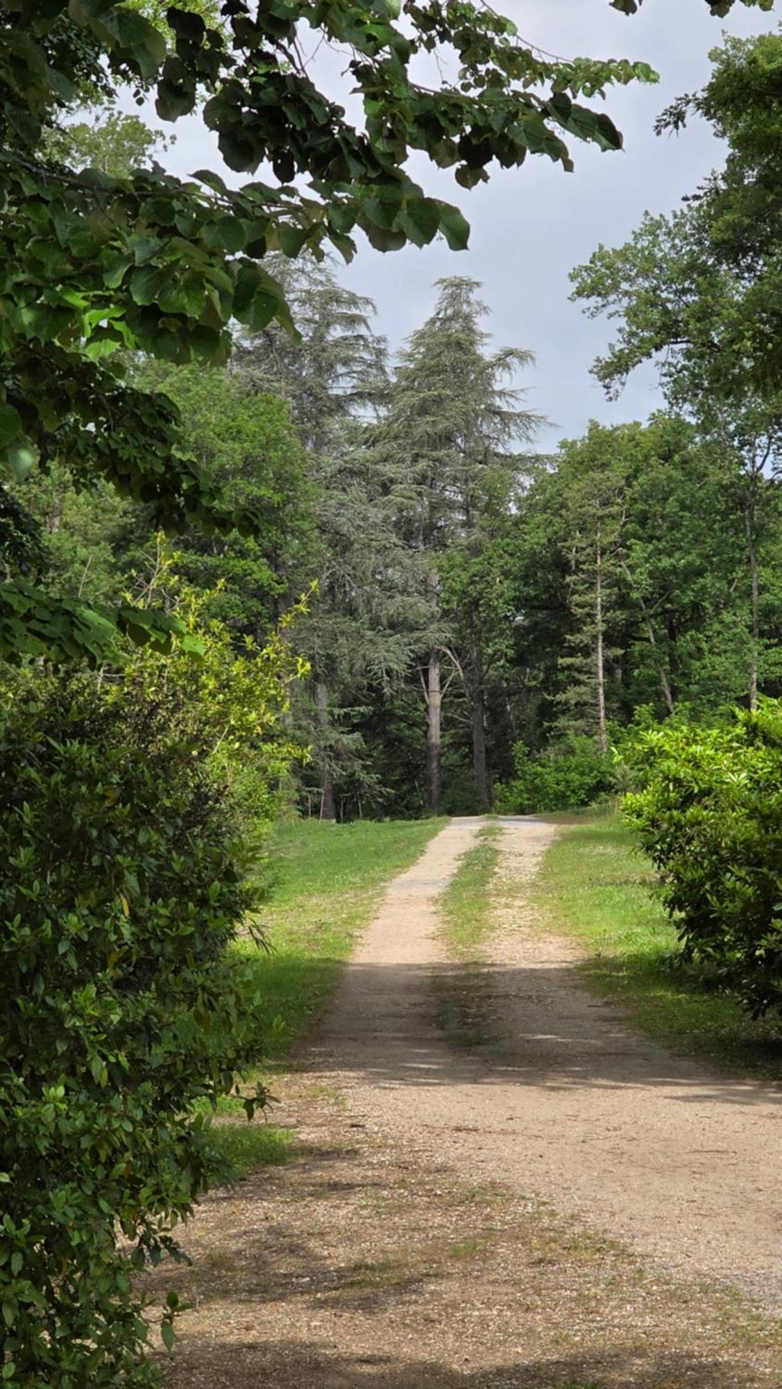 Chateau De Pourpry Damiatte Exteriér fotografie